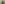 DROP: FORREST GREEN ESSENTIALS
