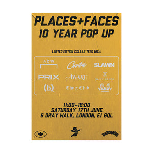 P+F 10 YEAR POSTER